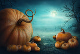 Festival Backdrops Halloween Backdrops Pumpkin Background G-028