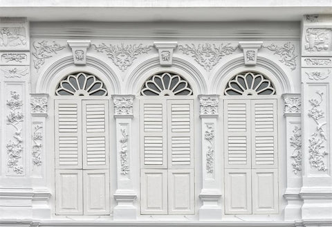 Fond de photographie de porte en bois rétro blanc G-180