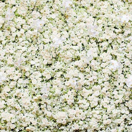 Toile de fond muraux fleurs blanches G-182