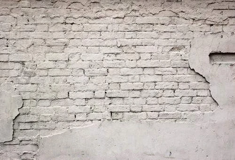 Damaged Old Brick Wall Backdrop for Photos  G-38