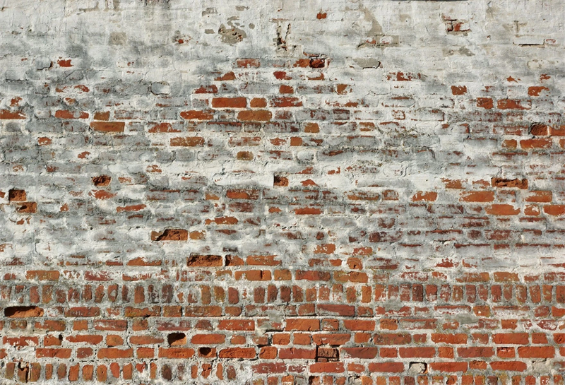 Toile de fond de photographie de mur de brique en béton patiné GC-40