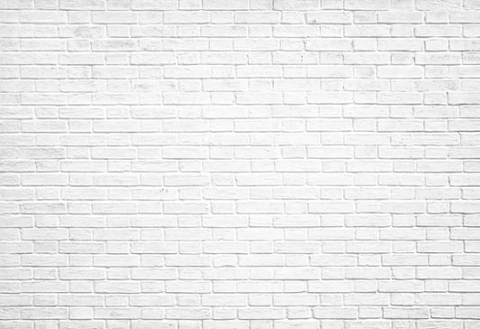 White Retro Style Brick Wall Backdrop for Party Photography G-45