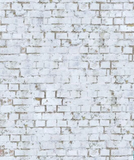 Old White Brick Wall Seamless Photo Backdrop G-48