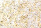 Patterned Backdrops Flower Backdrop Yellow Backgrounds G-605