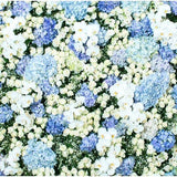 Belle toile de fond de mur de fleurs pour photomaton G-607