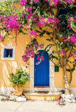 Beautiful Blue Door Flowers Tree Backdrops for Pictures G-671