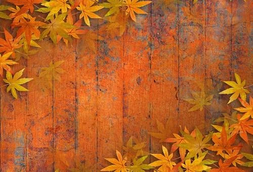 Autumn  Fall leaves Wood Backdrop for Photography G-81