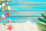 Summer  Beach Sand Starfishs Coconut Leaves Shells Decoration Wooden Backdrop  G-94