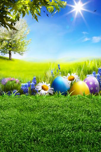 Happy Easter Spring  Green Grass Photo Booth Backdrop GE-040