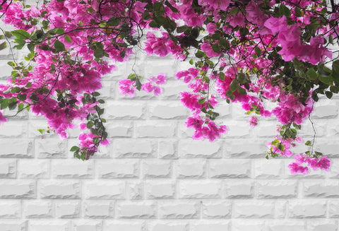 Toile de fond de photo de fleur de printemps de mur de brique blanche HJ03177 (1)