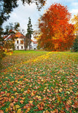 Autumn Golden Yelllow Leaves Tree Village Photography Backdrop DBD-19348