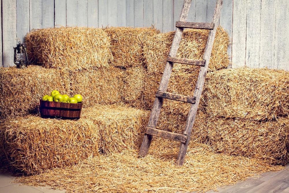 Western Barn Straw Farm Hay Photography Backdrop DBD-19355