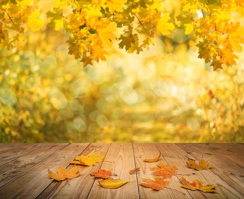 Autumn Photography Backdrop Bokeh Yellow Leaves Wood Floor Background DBD-19366