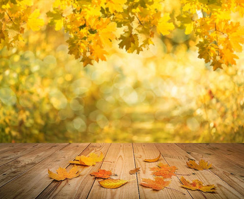 Autumn Photography Backdrop Bokeh Yellow Leaves Wood Floor Background DBD-19366