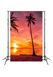 Summer Beach Sunset Photo Studio Backdrop J03736