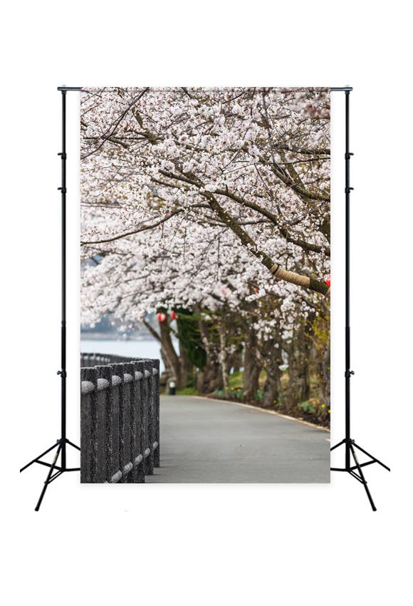 Cherry Blossom Path Spring Backdrops for Photo Shoot J05487