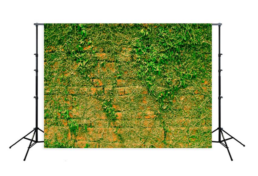 Toile de fond de photographie de mur de brique vintage de plantes vertes K-788