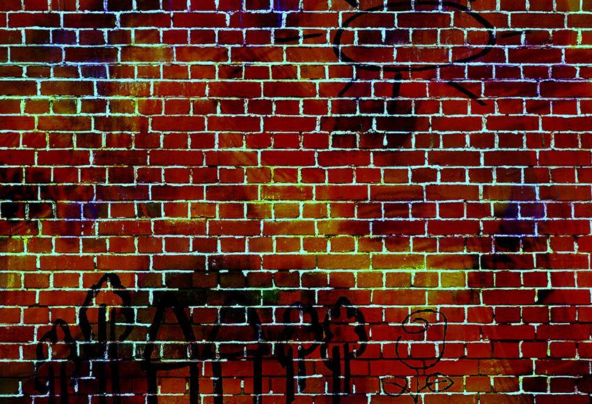 Grunge Red Brick Wall Photography Backdrops K836