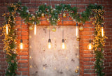 Fond de porte d'entrée de décorations de lumières de Noël pour les photos KAT-185