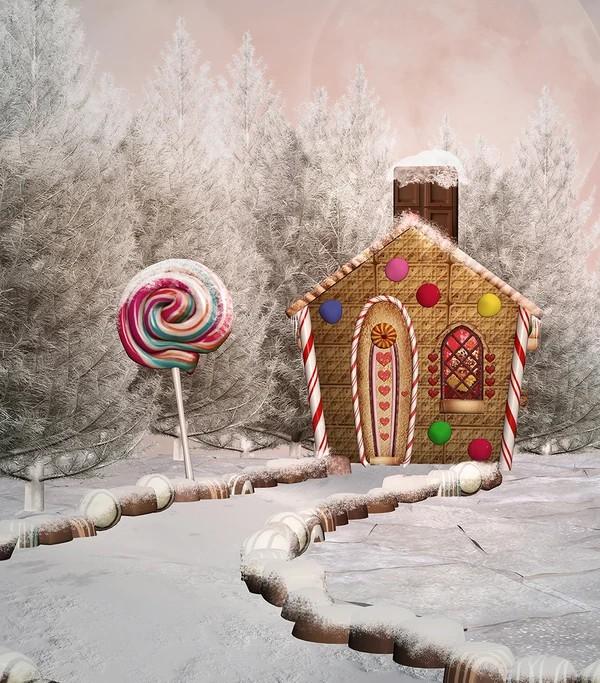 Christmas Gingerbread House Snow Backdrop for Photography KAT-42