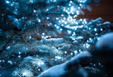 Snow Tree Bokeh Winter Photography Backdrop M161