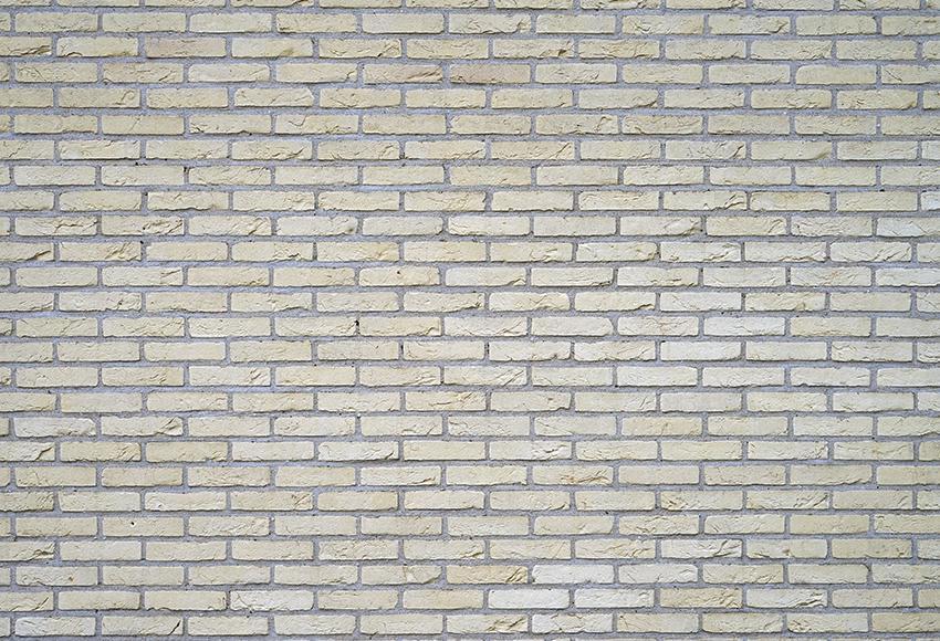 Old Red Brick Wall Photo Studio Photography Backdrop M250