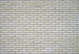 Old Red Brick Wall Photo Studio Photography Backdrop M250