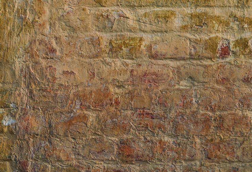 Grunge Brick Wall Backdrop for Photo Shoot  M268
