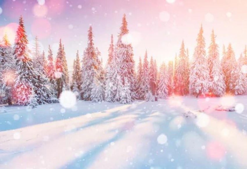 Snow Covered Trees Winter Mountain Sunshine Bokeh Backdrop