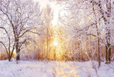 Snowy Winter Forest Sunshine Landscape Photography Backdrop