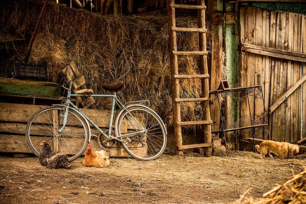 Old Barn Farmyard Straw Warehouse Backdrop for Photography MR-2122