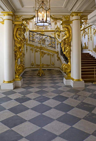 Luxury Castle Palace Interior Staircase Backdrops for Photography MR-2150