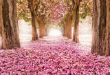 Scenic Backdrops Trees Parks Woodland Backdrops Pink Background S-2732