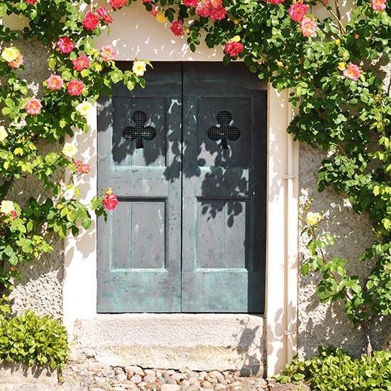 Blue Door Spring Flower Photography Backdrops S-3037