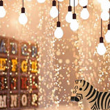 Boeh Lights Cockhorse Backdrop for Party Photography S-3118