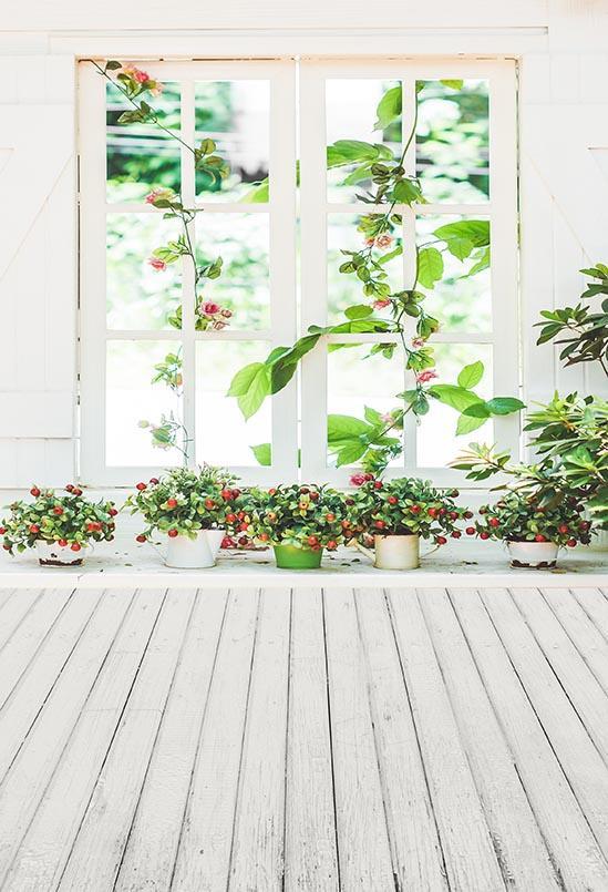 White Window Pot Plant Wooden Floor Backdrop for Studio S-3214