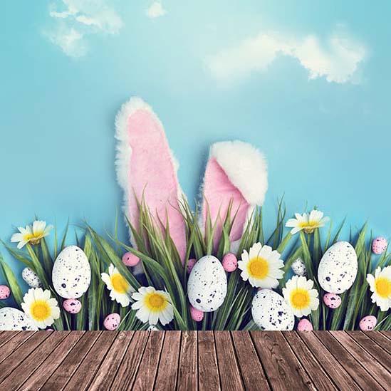 Spring Easter Eggs Flowers Bunny Photography Backdrop S-3235
