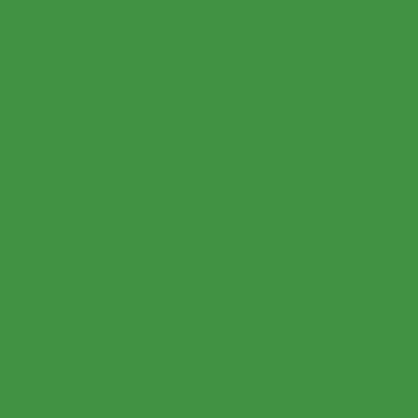 Toile de fond de couleur unie écran vert pour la photographie SC28