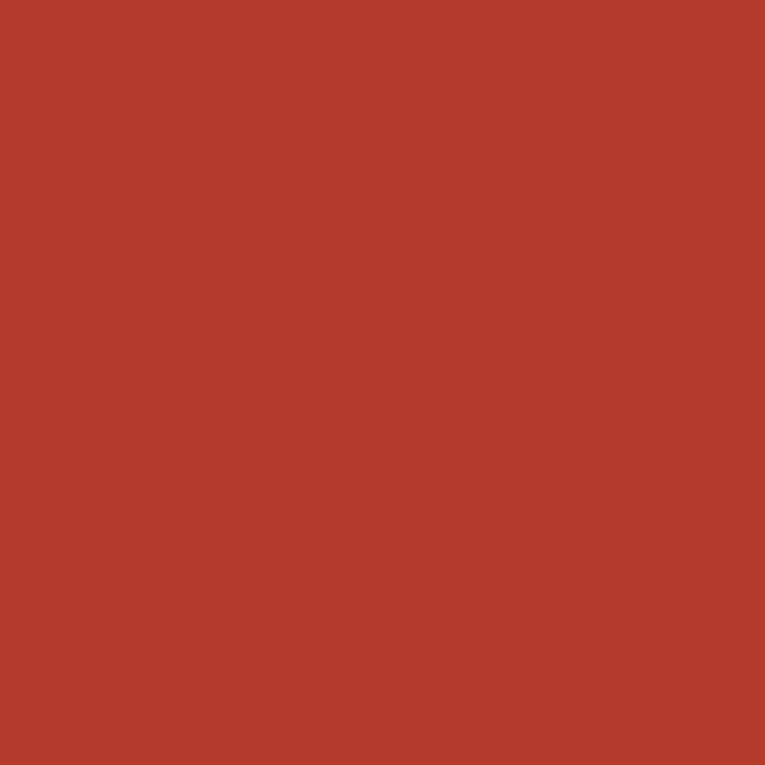 Toile de fond de portrait en couleur unie rouge pour photomaton SC57