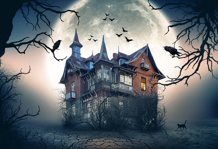 Halloween Dark Horror House Moon Scene Backdrop for Photos