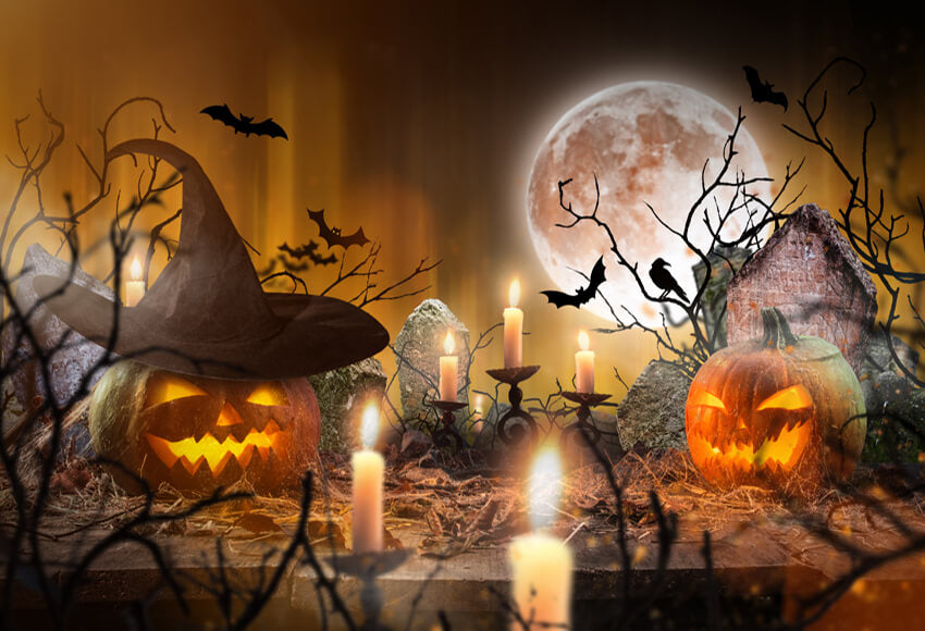 Photo backdrop Halloween Pumpkins Background