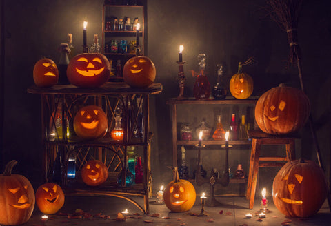 Pumpkins and Magic Potions Halloween Backdrop