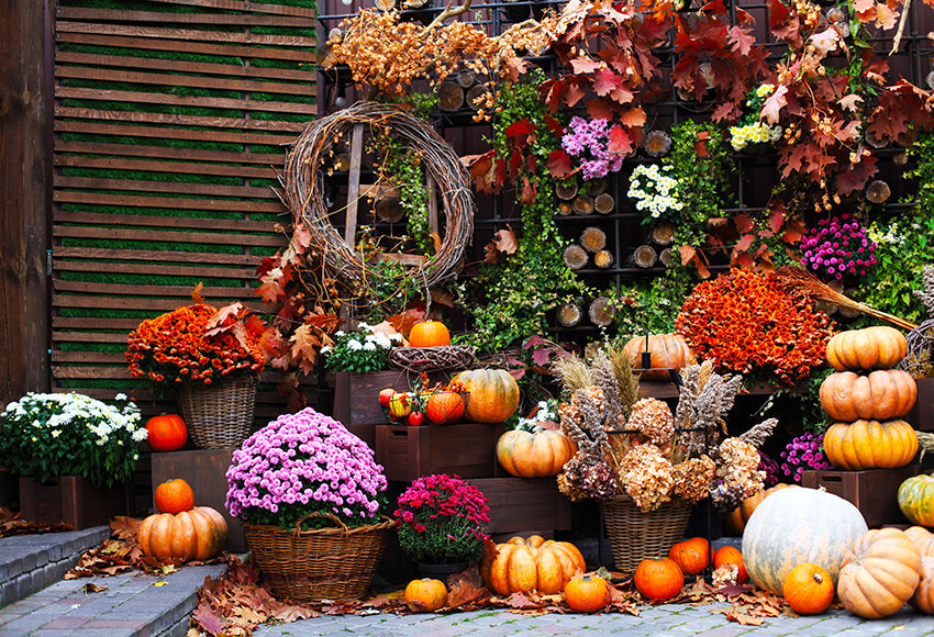 Autumn Pumpkin Fall Photography Backdrop