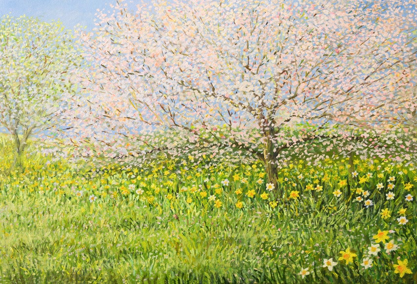Spring Trees Meadow Daffodils Oil Painting Backdrop