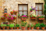 Flowers Window Old Wall Photo Booth Backdrop