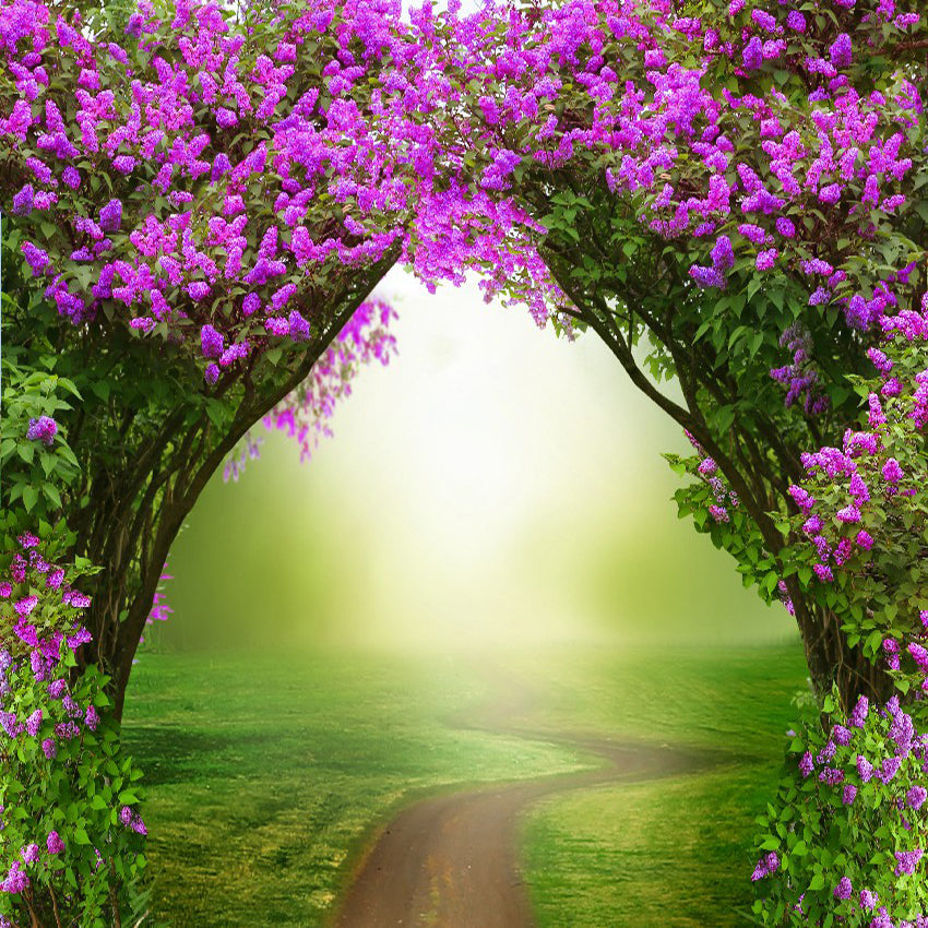 Fantasy Photography Backdrop Magic Forest Road Spring Background