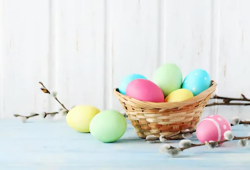 Easter Eggs Basket Backdrop for Photo Studio SH008