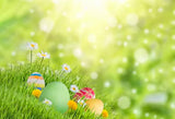 Happy Easter Backdrop Spring Green Grass Easter Photo Backdrop SH015