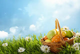 Easter Eggs Green Grass Happy Easter Day Backdrop for Photography SH016