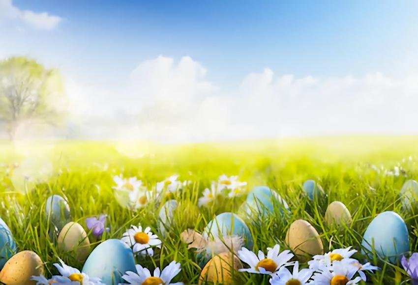 Easter Photography Backdrop Spring Flowers Green Grass Easter Eggs Background SH024